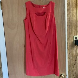Brand New dress from Dress Barn. Women’s size 14.